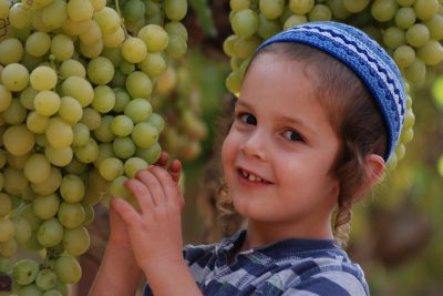 boy-grapes.jpg boy-grapes.jpg