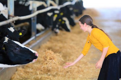 girl-cow.jpg girl-cow.jpg